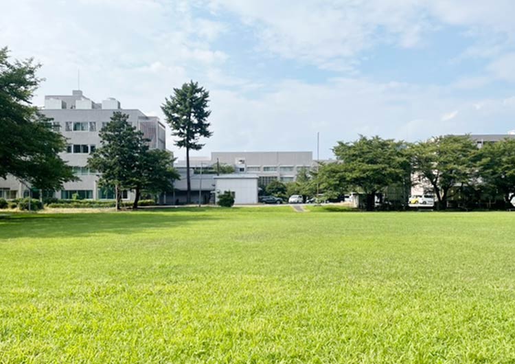 桜ヶ丘記念病院の院内グラウンド