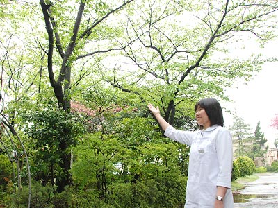 八潮病院の中庭