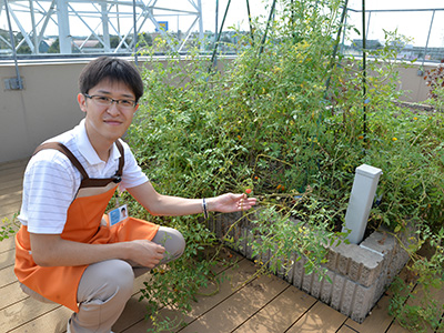 新座すずのきクリニックの屋上