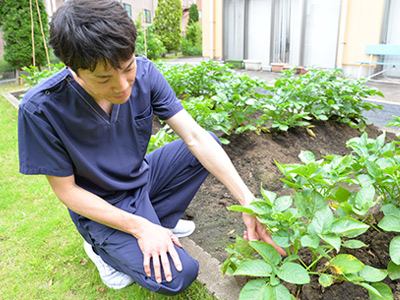 グリーンビレッジ蕨の裏庭