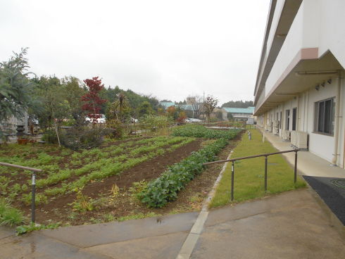 まごころ館四街道の様子２