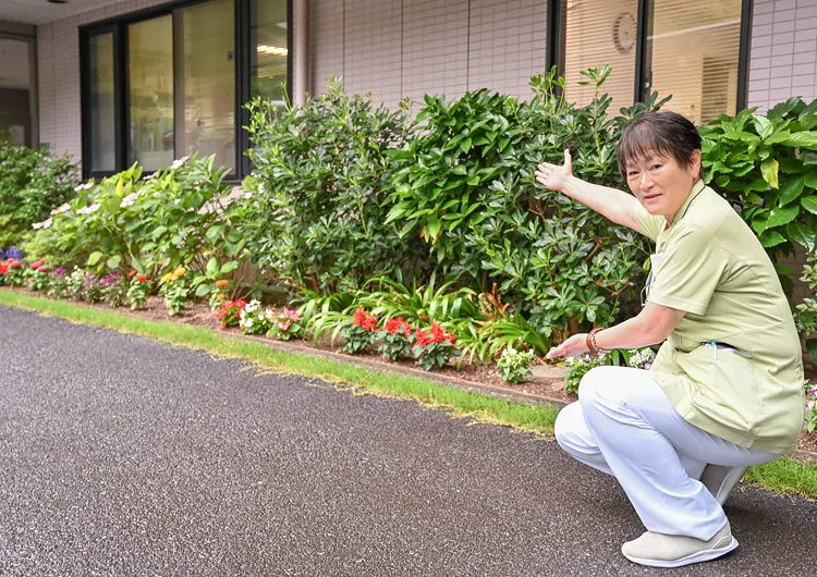 緑豊かな環境で、花壇には色とりどりの花を植えています。